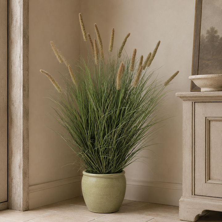 CATTAIL ONION GRASS BONSAI 120cm